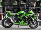 Kawasaki Ninja 300 SBK Special Edition